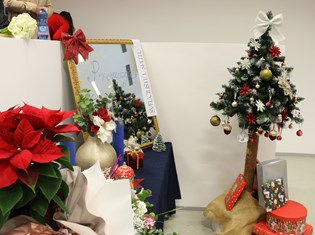 IMG_2380.JPG